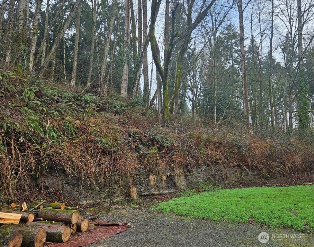 Photo of 37301 2nd Avenue SW, Federal Way, WA 98023 (MLS # 2418954)