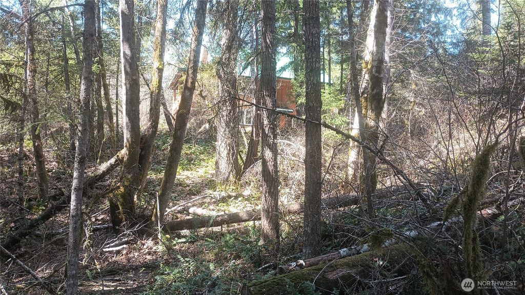 Photo of 0 Lot 26 Terrace Way, Packwood, WA 98361 (MLS # 2508315)