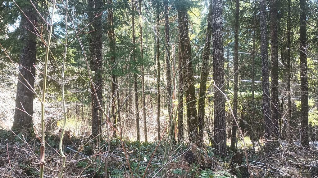 Photo of 0 Lot 26 Terrace Way, Packwood, WA 98361 (MLS # 2508315)