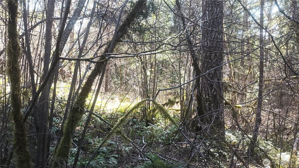 Photo of 0 Lot 26 Terrace Way, Packwood, WA 98361 (MLS # 2508315)