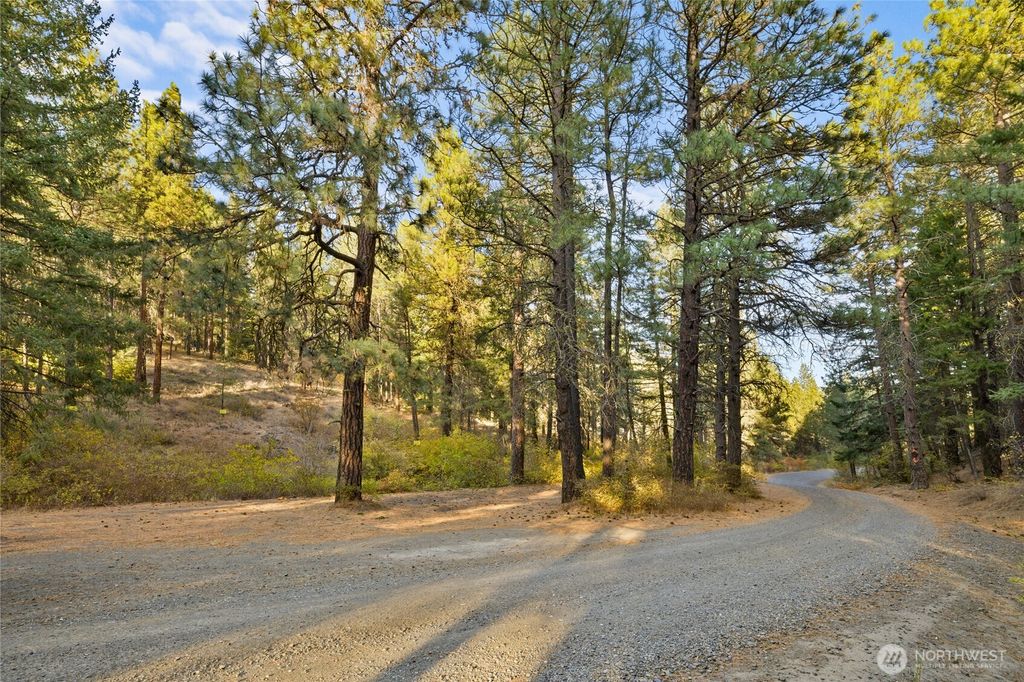 Photo of 15 XX Elk Heights Road, Cle Elum, WA 98922 (MLS # 2446136)