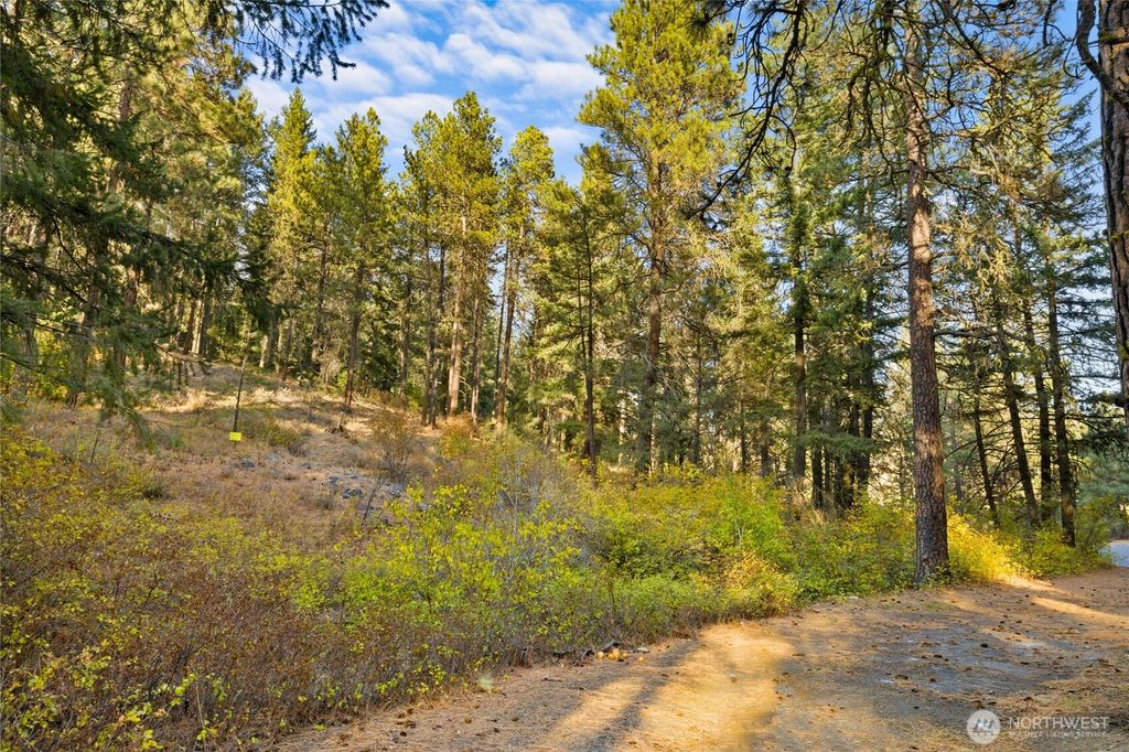 Photo of 15 XX Elk Heights Road, Cle Elum, WA 98922 (MLS # 2446136)