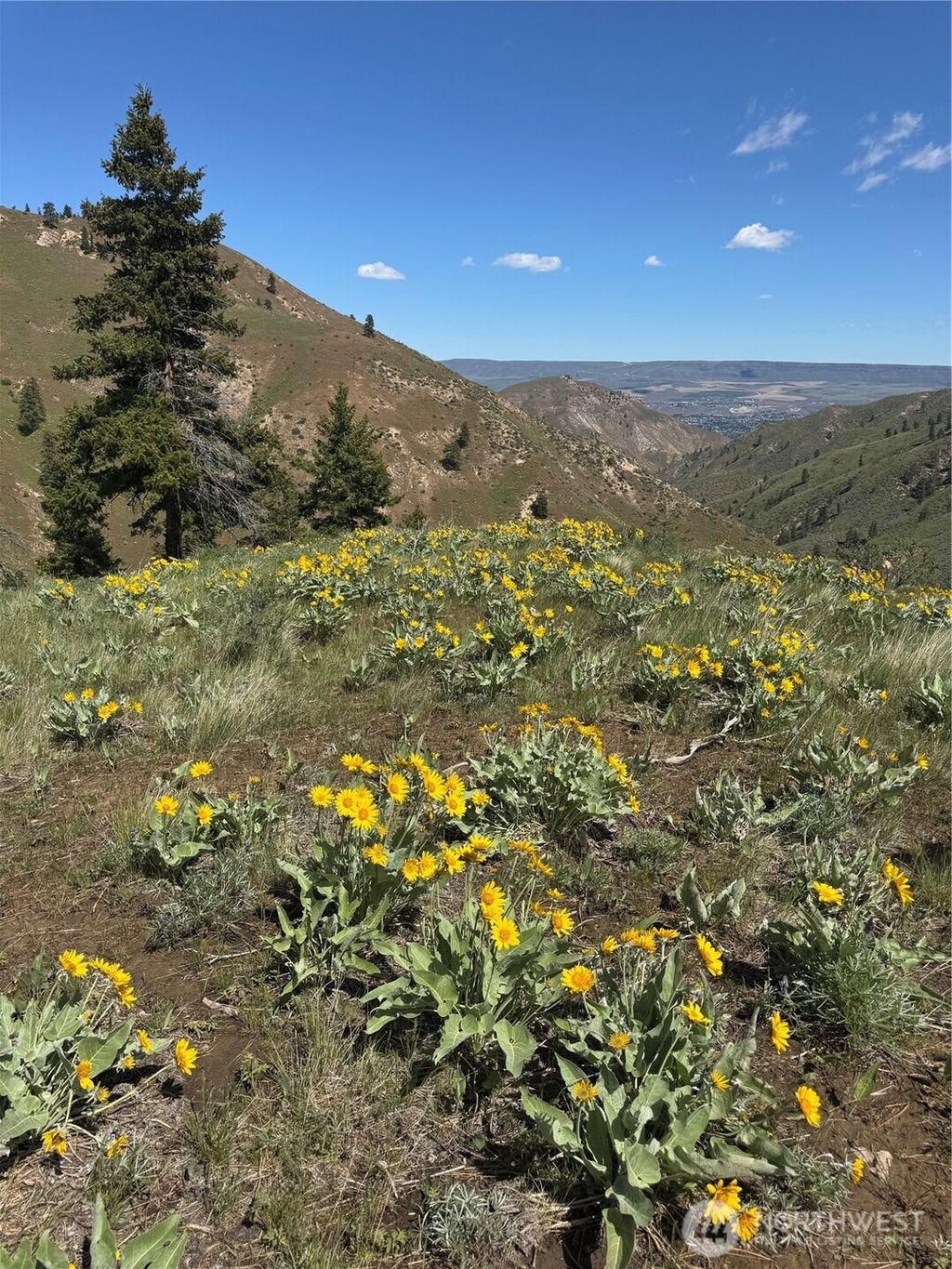 Photo of 0 Uphill Lane, Wenatchee, WA 98801 (MLS # 2515246)