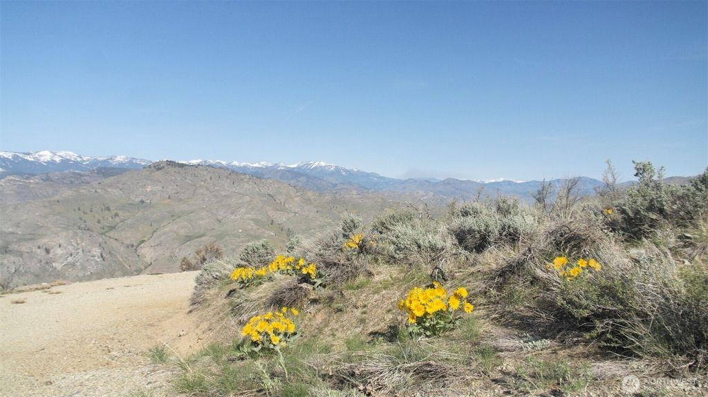 Photo of 33 Avery Road, Pateros, WA 98834 (MLS # 2504922)