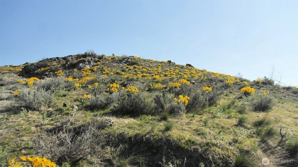 Photo of 33 Avery Road, Pateros, WA 98834 (MLS # 2504922)