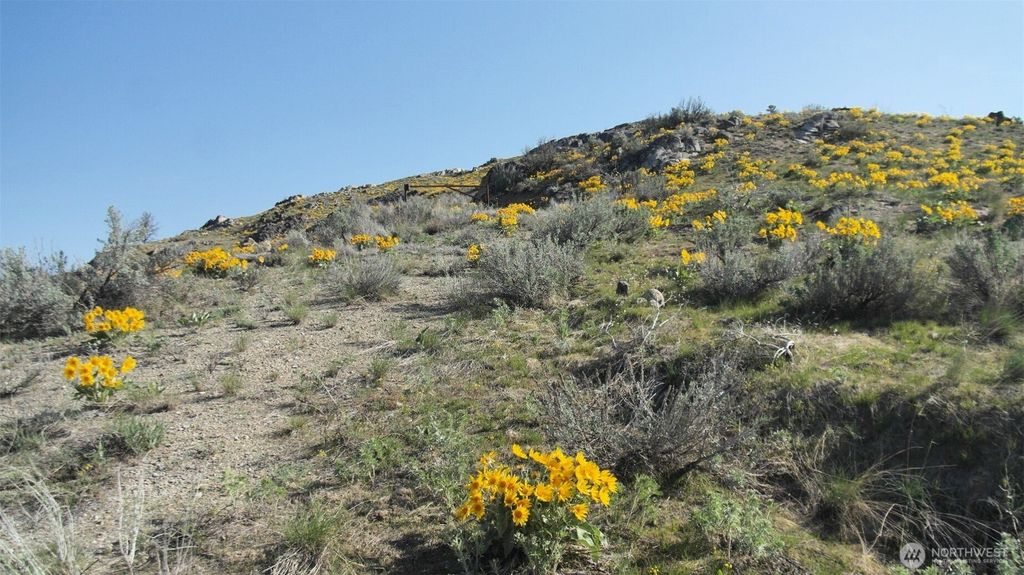 Photo of 33 Avery Road, Pateros, WA 98834 (MLS # 2504922)