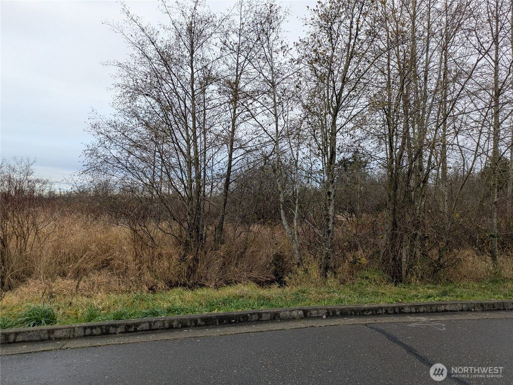Photo of 0 Second Avenue, Ferndale, WA 98248 (MLS # 2458290)