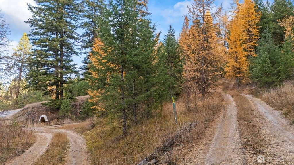 Photo of 0 Hwy 20, Tonasket, WA 98855 (MLS # 2471252)