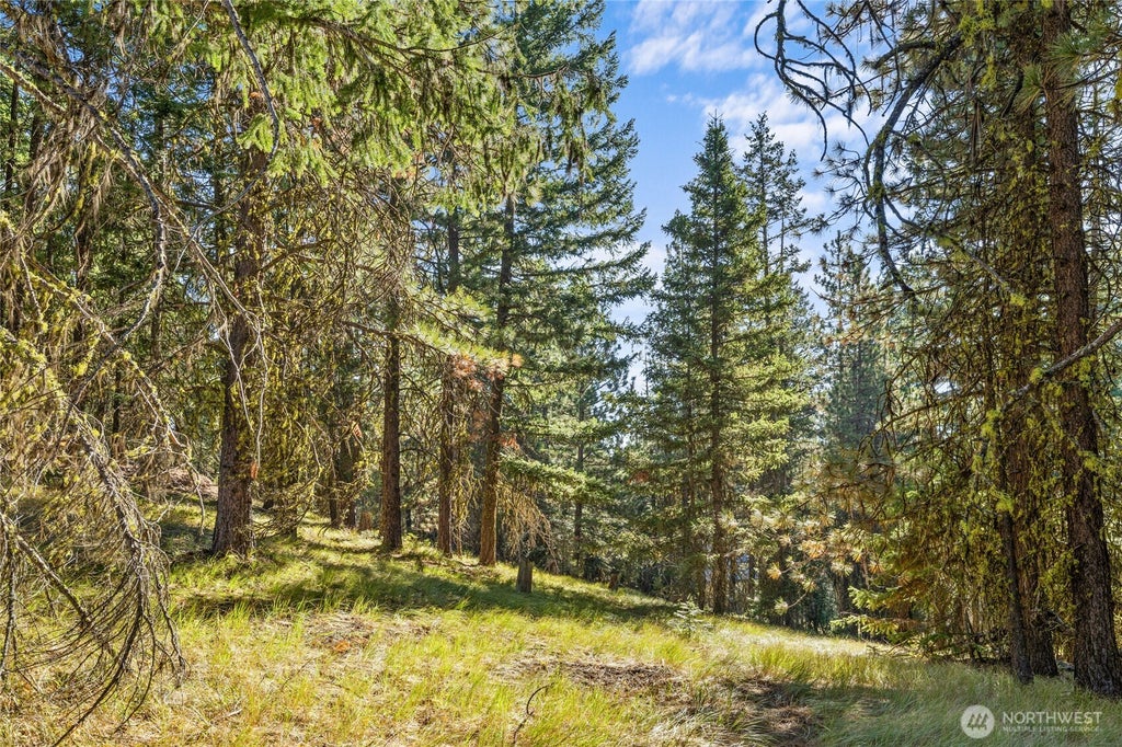 Photo of 330 Eagle Road, Cle Elum, WA 98922 (MLS # 2571640)