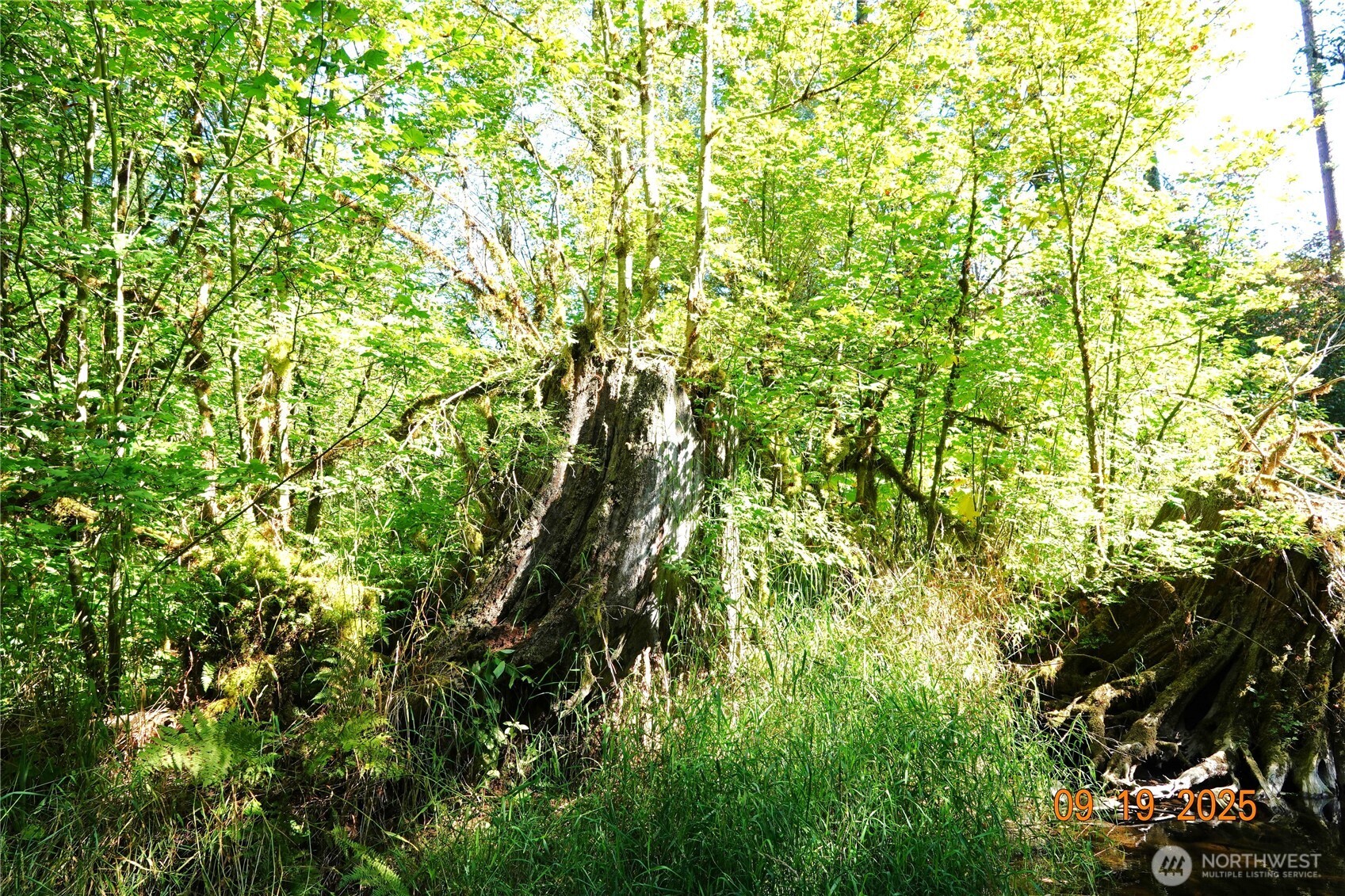 15829 456th Street E