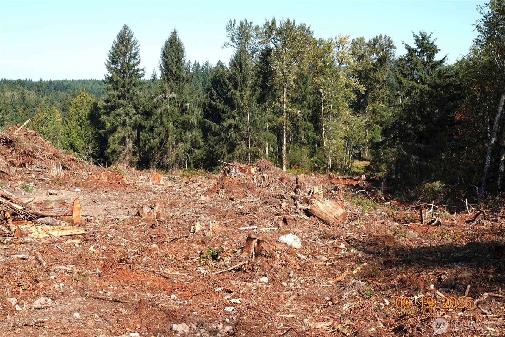 15829 456th Street E