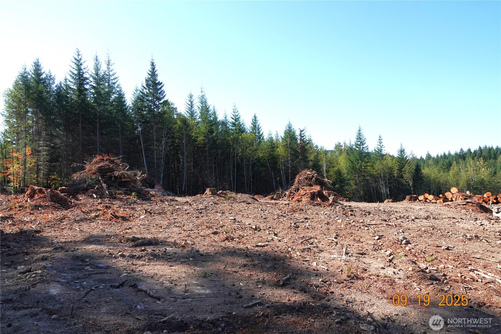 15829 456th Street E