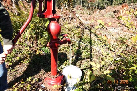 15829 456th Street E Eatonville WA 98328