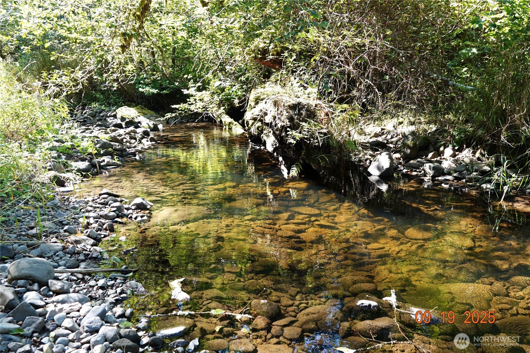 15829 456th Street E