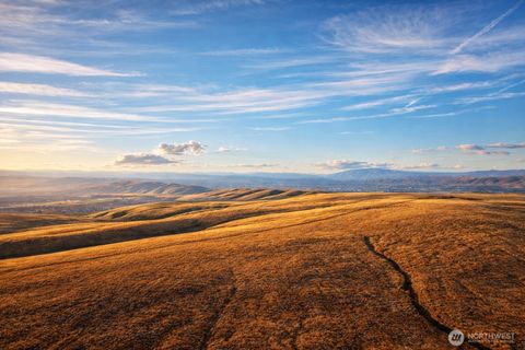 Photo of 100 Orchard Road, Wapato, WA 98936 (MLS # 2480409)