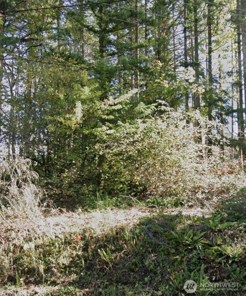 Photo of 0 Central Valley Road, Bremerton, WA 98311 (MLS # 2563468)