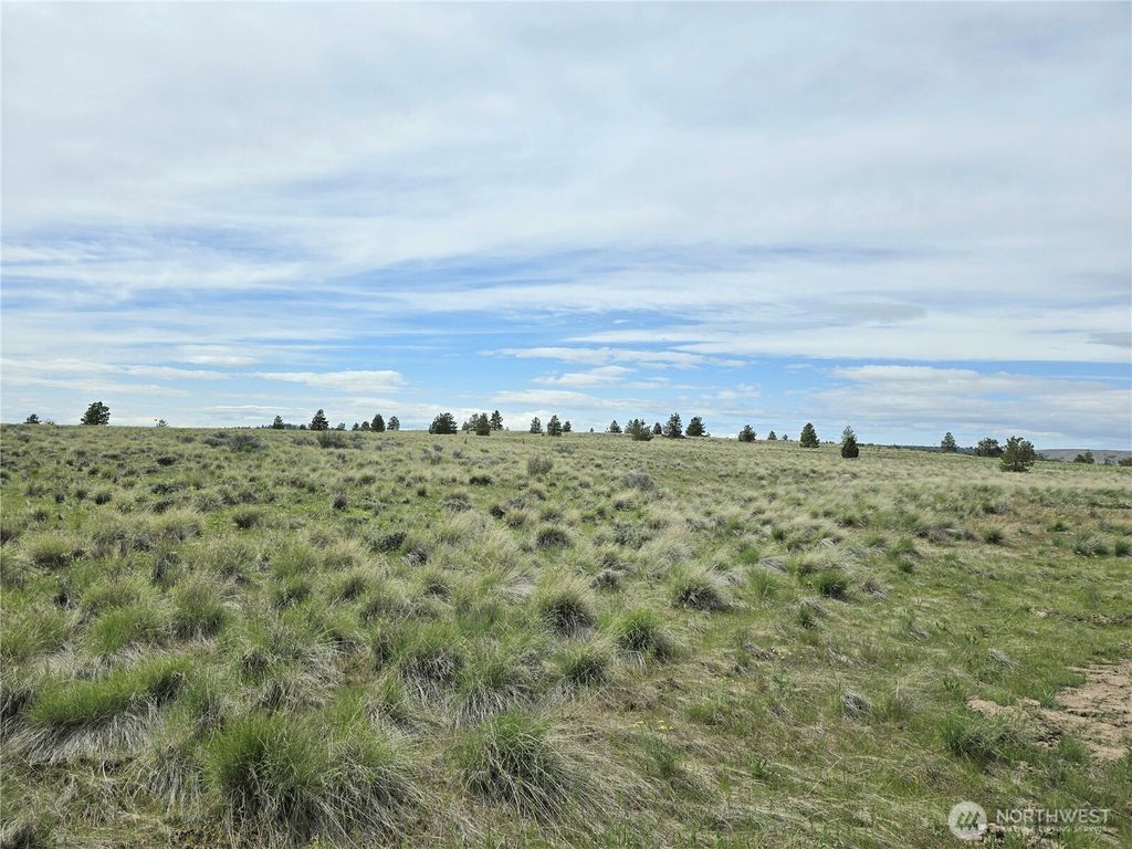 listing image 9367765350216721289