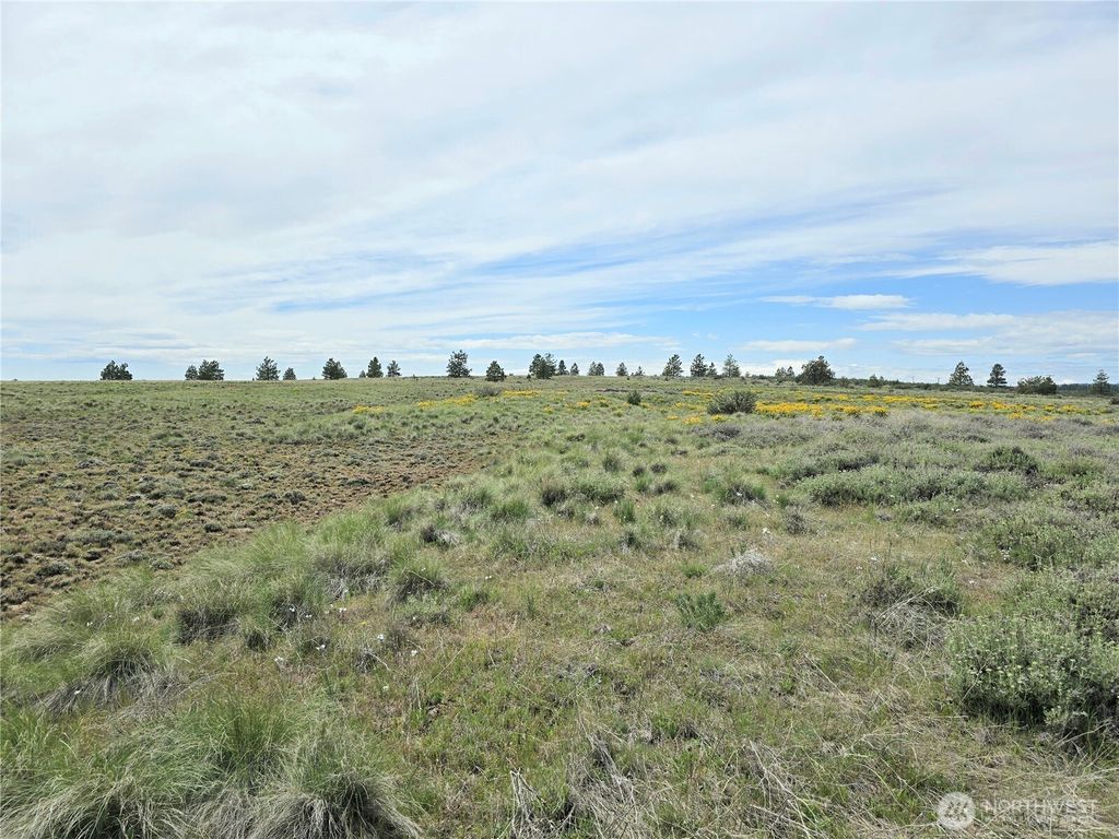 listing image 9361569678666475733