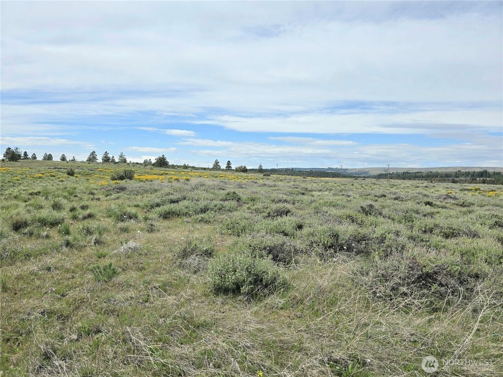 listing image 9361170479214392093