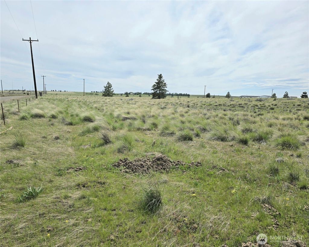listing image 9364326069518909134