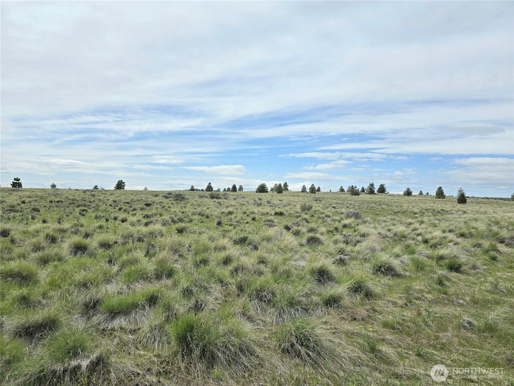 listing image 9369017652198744469