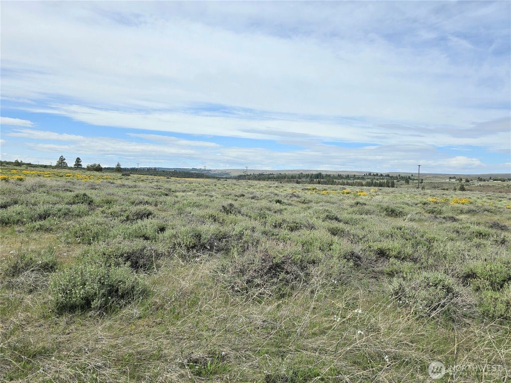 listing image 9363083964092830934