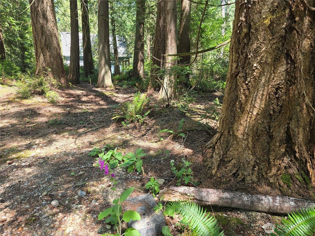 Photo of 133 E Barnacle Boulevard, Shelton, WA 98584 (MLS # 2550383)