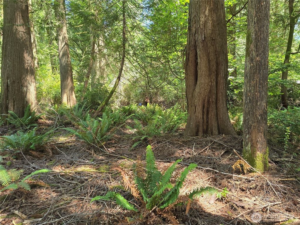 Photo of 133 E Barnacle Boulevard, Shelton, WA 98584 (MLS # 2550383)
