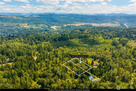 Photo of 15310 231st Street Ct E, Graham, WA 98338 (MLS # 2560968)