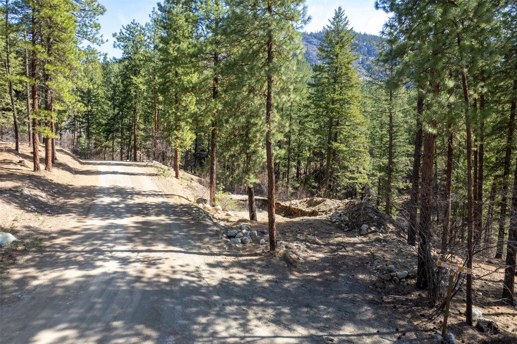 Photo of 94 Homestead Road, Winthrop, WA 98862 (MLS # 2598726)