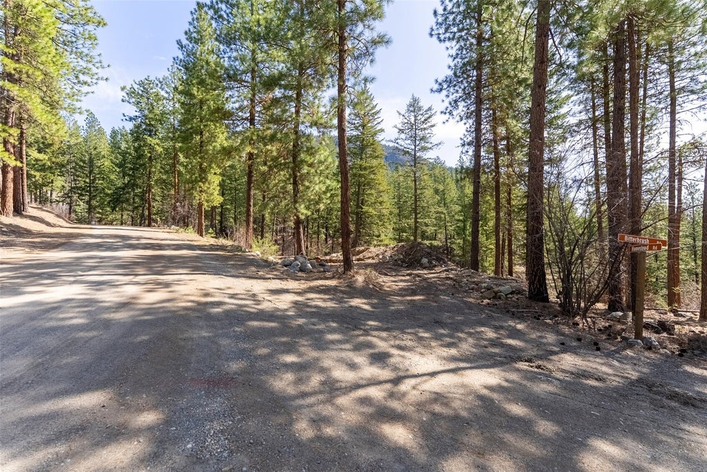 Photo of 94 Homestead Road, Winthrop, WA 98862 (MLS # 2598726)