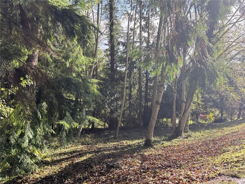 Photo of 0 XX N Stephenson Drive, Montesano, WA 98563 (MLS # 2599764)