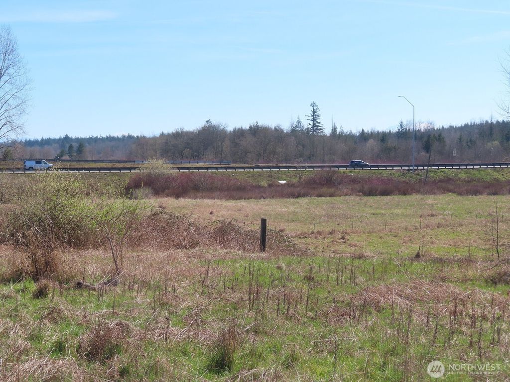 Photo of 107 Avery Road, Napavine, WA 98565 (MLS # 2483173)