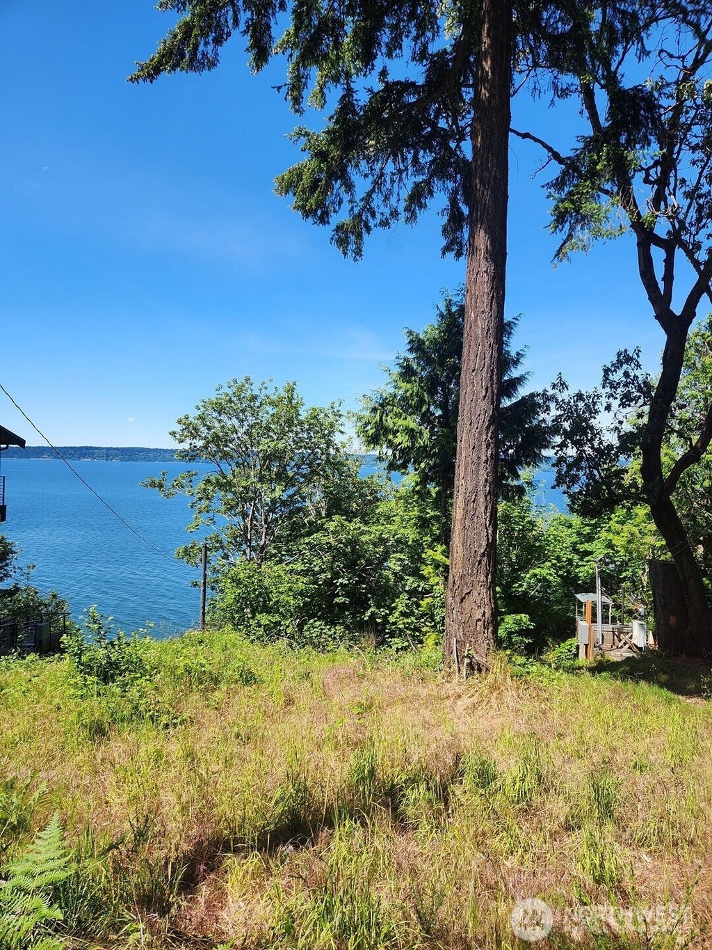 Photo of 15825 Maplewild Avenue SW, Burien, WA 98166 (MLS # 2553436)