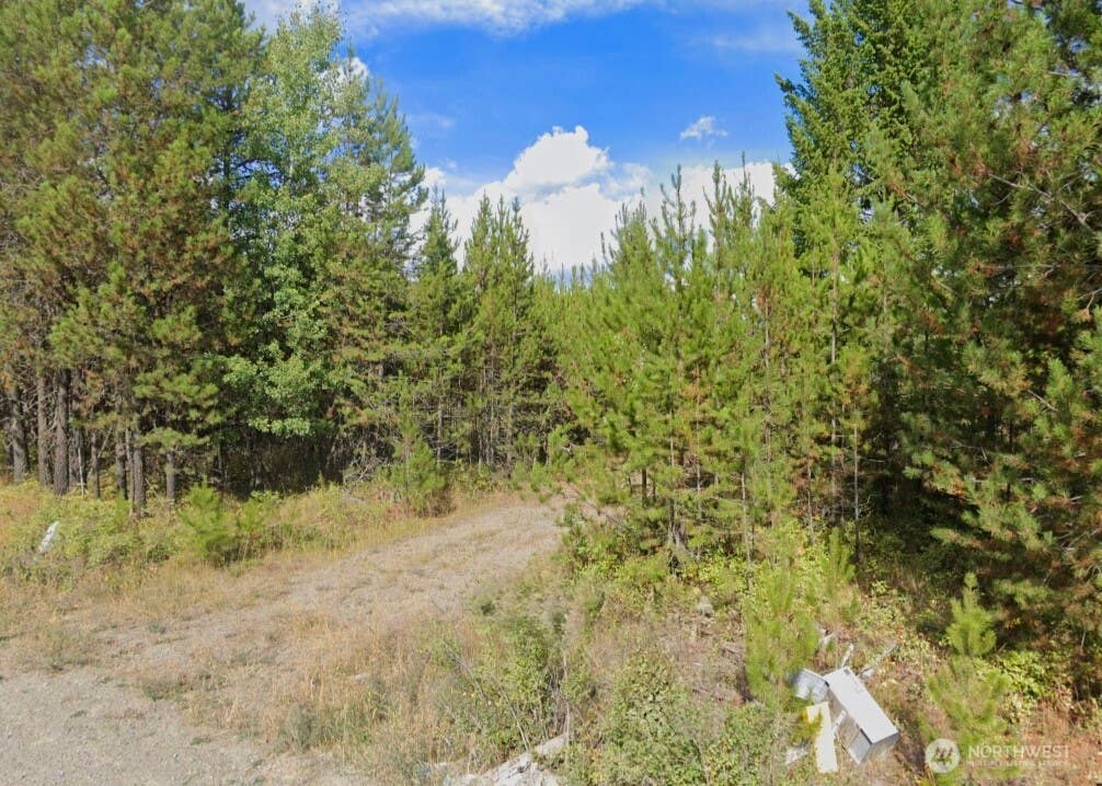 Photo of 2071 Driskill Road, Newport, WA 99156 (MLS # 2572764)