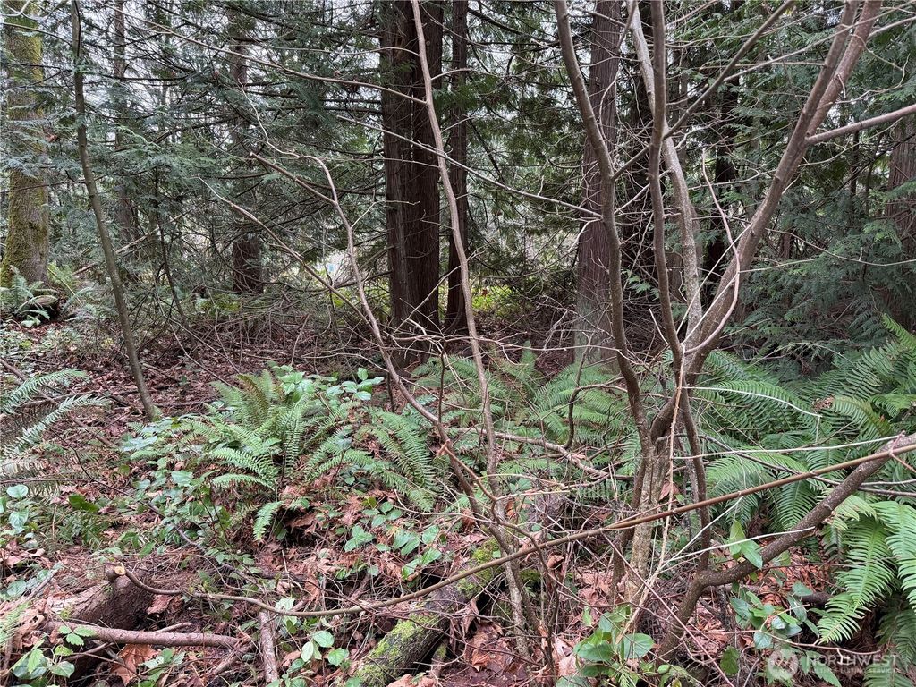 Photo of 19431 Marine Drive, Stanwood, WA 98292 (MLS # 2469831)