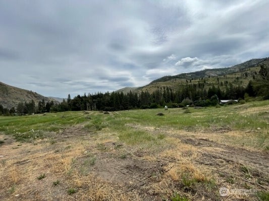 4 BLACK CANYON RD LOT 4, PATEROS, WA 98846 - Image dfbbcb3f8f7eb306826c410cc9e50e4e/2672162503