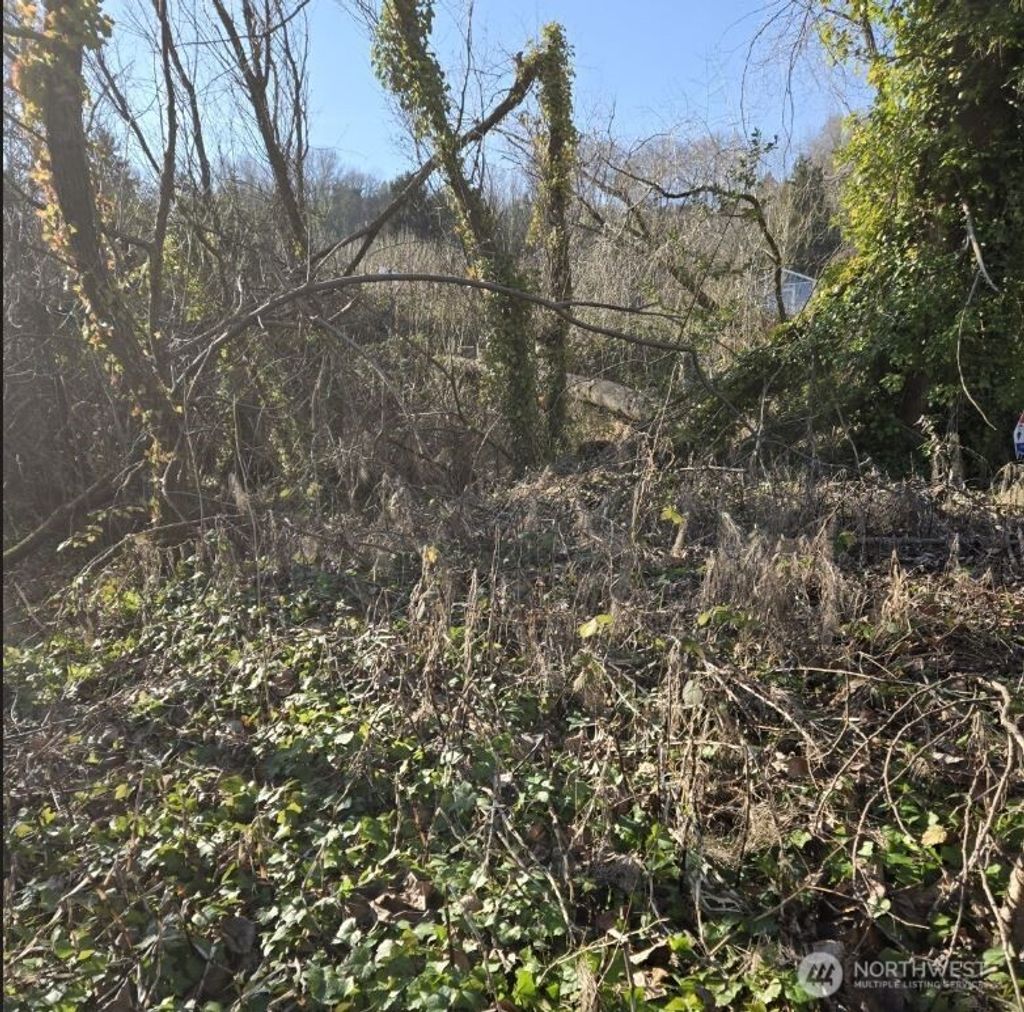 Photo of 8826 3rd Avenue S, Seattle, WA 98108 (MLS # 2472839)