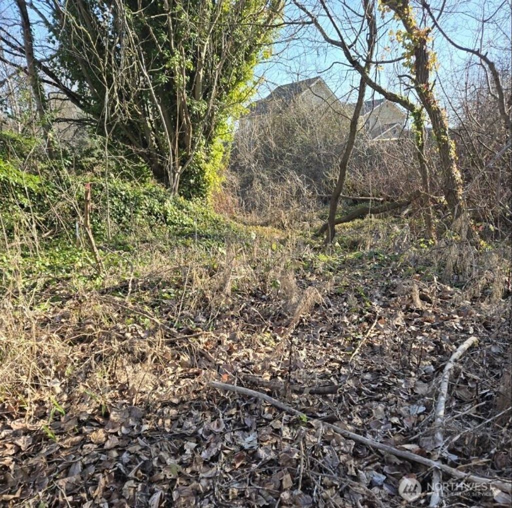 Photo of 8826 3rd Avenue S, Seattle, WA 98108 (MLS # 2472839)