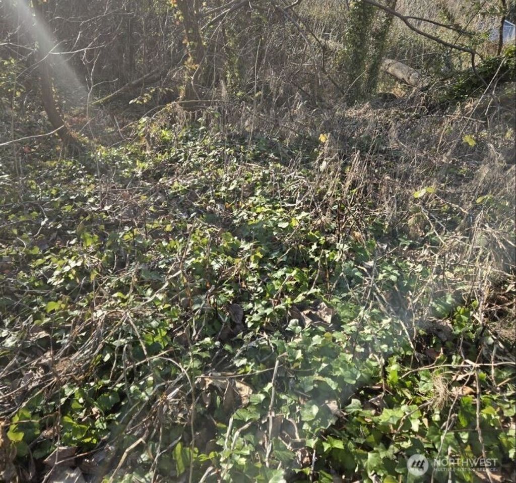 Photo of 8826 3rd Avenue S, Seattle, WA 98108 (MLS # 2472839)