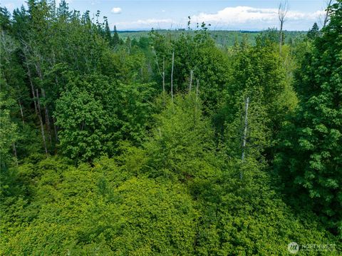0 Valley Ridge Road Adna WA 98532