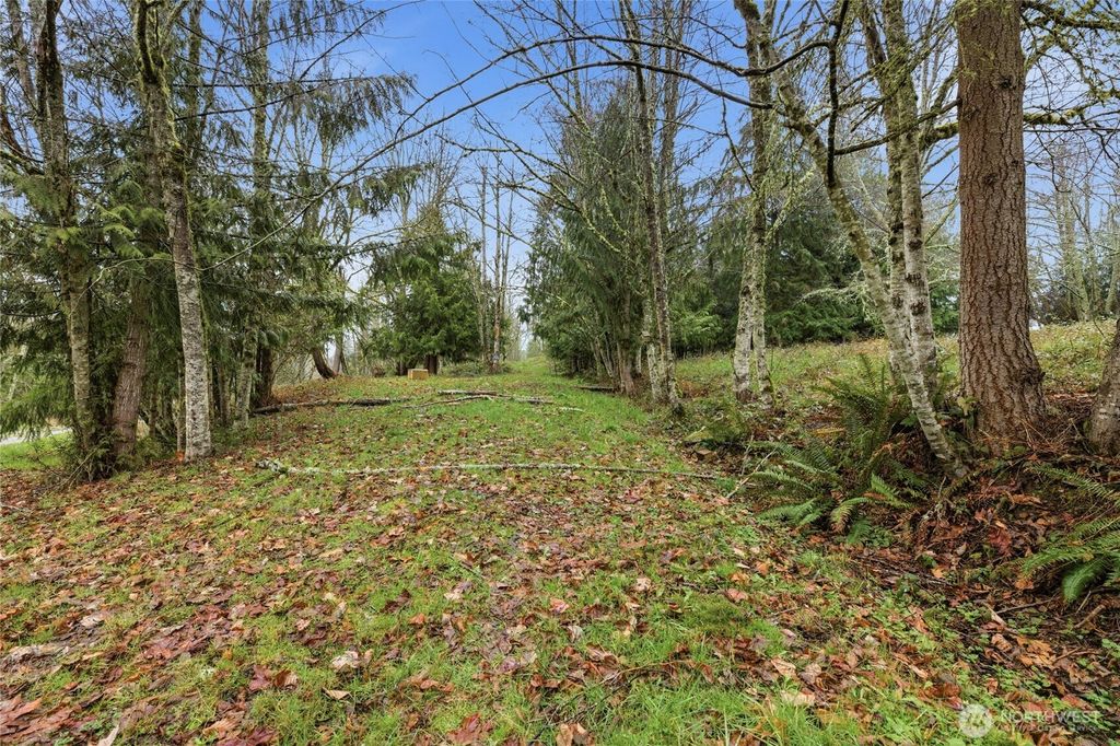 Photo of 0 Wesner Street, Buckley, WA 98321 (MLS # 2483586)