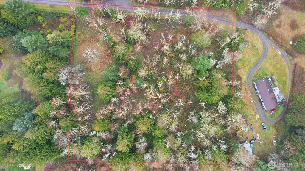 Photo of 0 Wesner Street, Buckley, WA 98321 (MLS # 2483586)