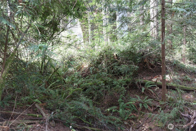 3659 Green Mountain Road NW