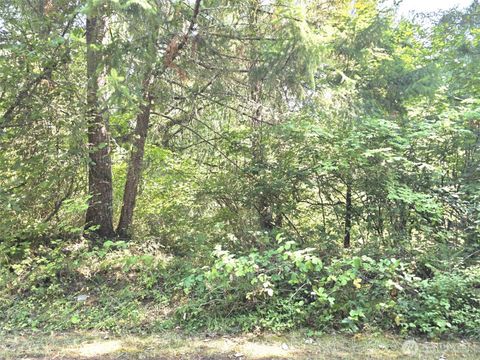 Photo of 21815 Beachside Drive SE, Yelm, WA 98597 (MLS # 2428262)