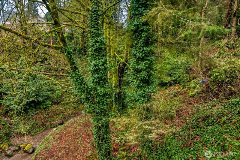 0 S Dash Point Road