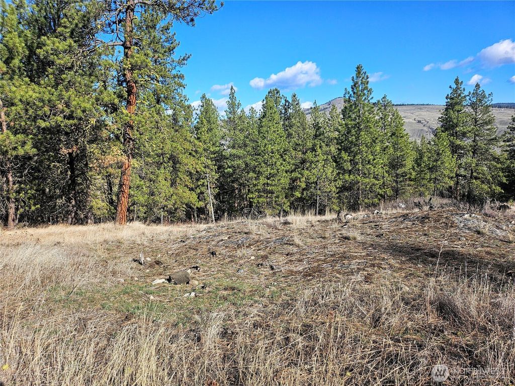 Photo of 380 Lot Chopaka TBD Road, Tonasket, WA 98855 (MLS # 2495884)
