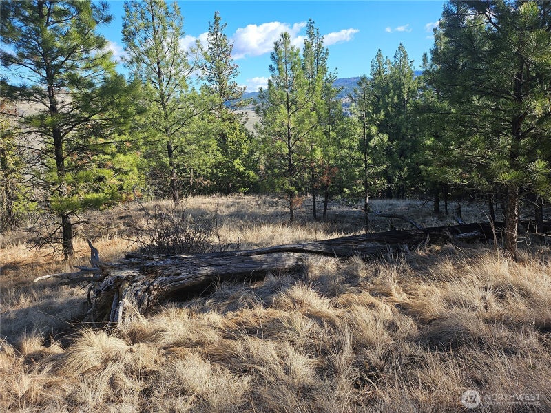 380 Lot Chopaka TBD Road