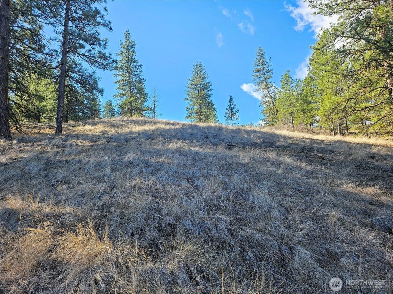380 Lot Chopaka TBD Road