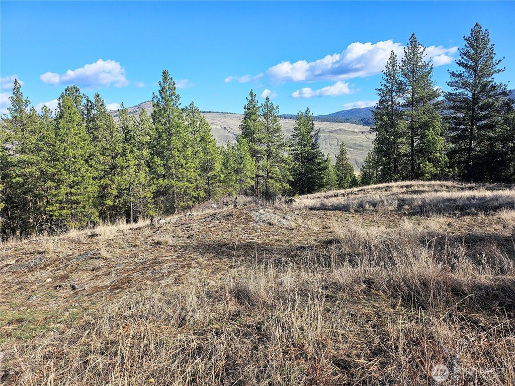 Photo of 380 Lot Chopaka TBD Road, Tonasket, WA 98855 (MLS # 2495884)
